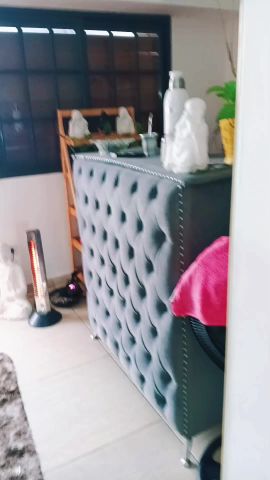 Veronica ZN